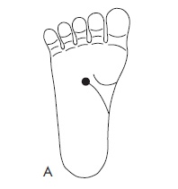 Иллюстрация к книге — Шунгит, су-джок, вода - для здоровья тех, кому за... [Autogen_eBook_id128.jpg]