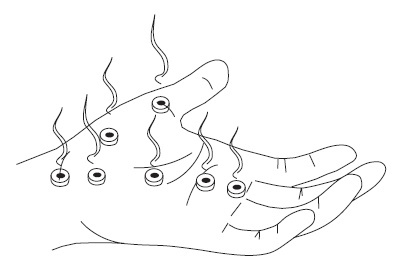 Иллюстрация к книге — Шунгит, су-джок, вода - для здоровья тех, кому за... [Autogen_eBook_id130.jpg]