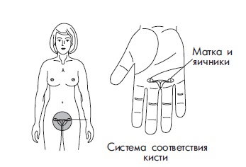 Иллюстрация к книге — Шунгит, су-джок, вода - для здоровья тех, кому за... [Autogen_eBook_id140.jpg]