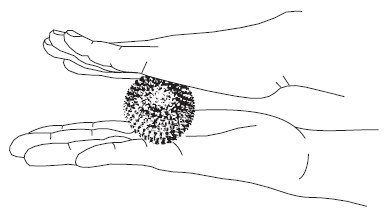 Иллюстрация к книге — Шунгит, су-джок, вода - для здоровья тех, кому за... [Autogen_eBook_id142.jpg]