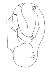 Иллюстрация к книге — Шунгит, су-джок, вода - для здоровья тех, кому за... [Autogen_eBook_id144.jpg]