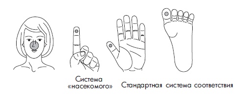 Иллюстрация к книге — Шунгит, су-джок, вода - для здоровья тех, кому за... [Autogen_eBook_id162.jpg]