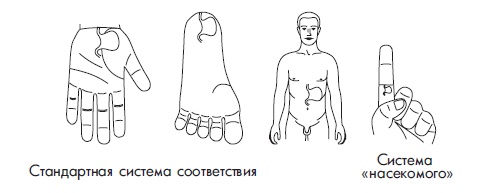 Иллюстрация к книге — Шунгит, су-джок, вода - для здоровья тех, кому за... [Autogen_eBook_id168.jpg]