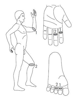 Иллюстрация к книге — Шунгит, су-джок, вода - для здоровья тех, кому за... [Autogen_eBook_id177.jpg]