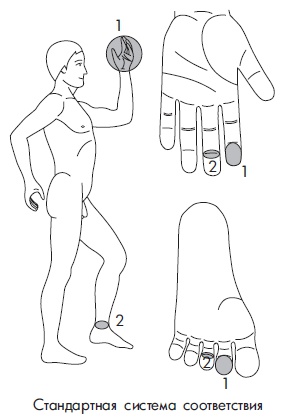 Иллюстрация к книге — Шунгит, су-джок, вода - для здоровья тех, кому за... [Autogen_eBook_id179.jpg]