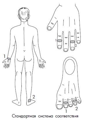 Иллюстрация к книге — Шунгит, су-джок, вода - для здоровья тех, кому за... [Autogen_eBook_id180.jpg]