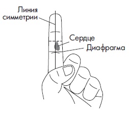 Иллюстрация к книге — Шунгит, су-джок, вода - для здоровья тех, кому за... [Autogen_eBook_id41.jpg]