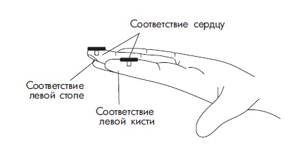 Иллюстрация к книге — Шунгит, су-джок, вода - для здоровья тех, кому за... [Autogen_eBook_id45.jpg]