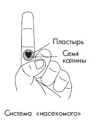 Иллюстрация к книге — Шунгит, су-джок, вода - для здоровья тех, кому за... [Autogen_eBook_id47.jpg]