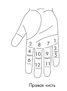 Иллюстрация к книге — Шунгит, су-джок, вода - для здоровья тех, кому за... [Autogen_eBook_id54.jpg]