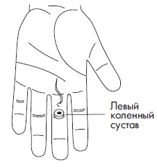 Иллюстрация к книге — Шунгит, су-джок, вода - для здоровья тех, кому за... [Autogen_eBook_id57.jpg]
