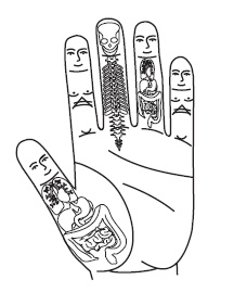 Иллюстрация к книге — Шунгит, су-джок, вода - для здоровья тех, кому за... [Autogen_eBook_id6.jpg]