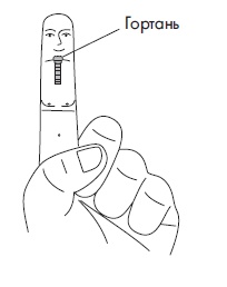 Иллюстрация к книге — Шунгит, су-джок, вода - для здоровья тех, кому за... [Autogen_eBook_id67.jpg]