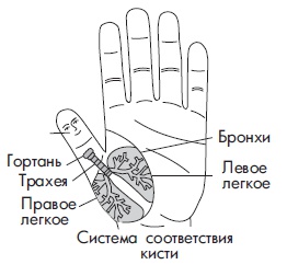 Иллюстрация к книге — Шунгит, су-джок, вода - для здоровья тех, кому за... [Autogen_eBook_id74.jpg]