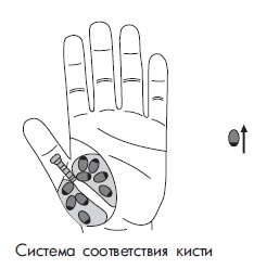 Иллюстрация к книге — Шунгит, су-джок, вода - для здоровья тех, кому за... [Autogen_eBook_id82.jpg]