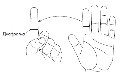 Иллюстрация к книге — Шунгит, су-джок, вода - для здоровья тех, кому за... [Autogen_eBook_id89.jpg]