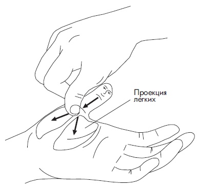 Иллюстрация к книге — Шунгит, су-джок, вода - для здоровья тех, кому за... [Autogen_eBook_id90.jpg]
