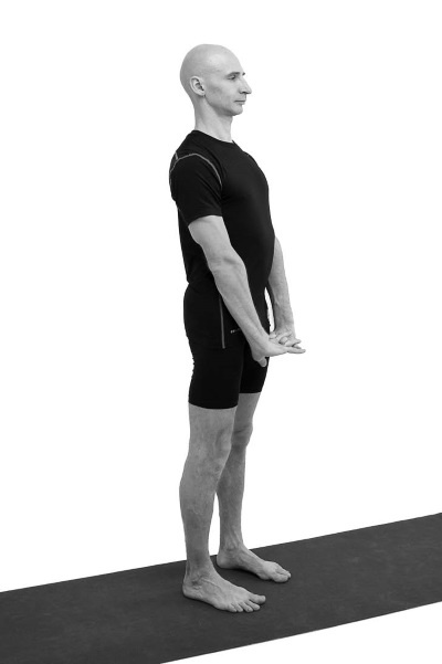 Иллюстрация к книге — Йогатерапия. Практическое руководство [i_015.jpg]