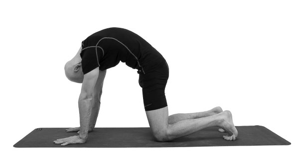 Иллюстрация к книге — Йогатерапия. Практическое руководство [i_033.jpg]