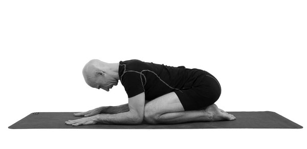 Иллюстрация к книге — Йогатерапия. Практическое руководство [i_053.jpg]