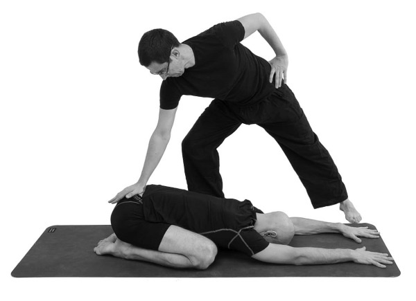 Иллюстрация к книге — Йогатерапия. Практическое руководство [i_056.jpg]