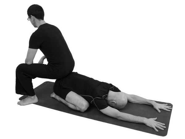 Иллюстрация к книге — Йогатерапия. Практическое руководство [i_057.jpg]