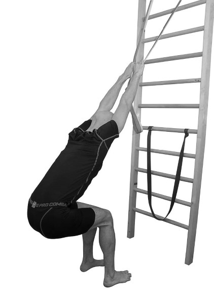 Иллюстрация к книге — Йогатерапия. Практическое руководство [i_062.jpg]