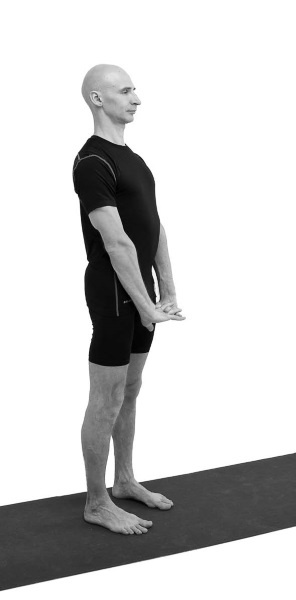 Иллюстрация к книге — Йогатерапия. Практическое руководство [i_138.jpg]