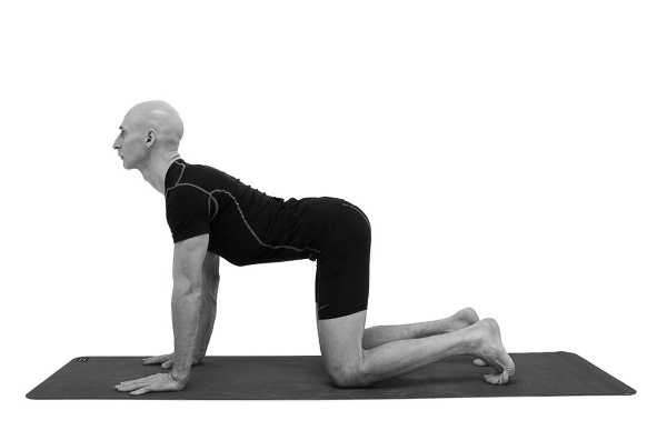 Иллюстрация к книге — Йогатерапия. Практическое руководство [i_142.jpg]