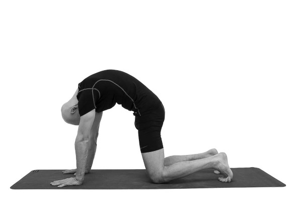 Иллюстрация к книге — Йогатерапия. Практическое руководство [i_143.jpg]