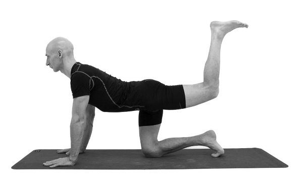 Иллюстрация к книге — Йогатерапия. Практическое руководство [i_145.jpg]