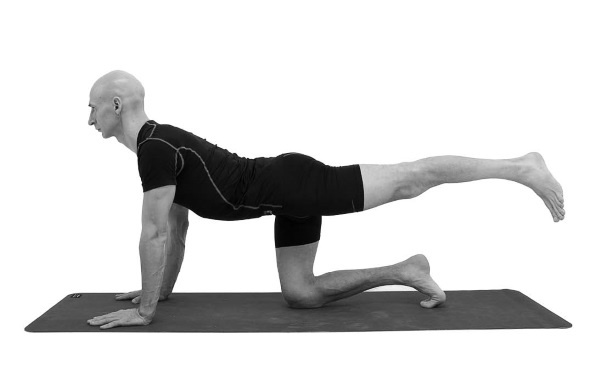 Иллюстрация к книге — Йогатерапия. Практическое руководство [i_146.jpg]