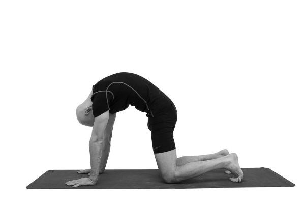 Иллюстрация к книге — Йогатерапия. Практическое руководство [i_149.jpg]