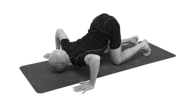 Иллюстрация к книге — Йогатерапия. Практическое руководство [i_150.jpg]