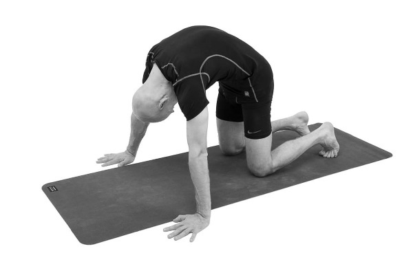 Иллюстрация к книге — Йогатерапия. Практическое руководство [i_151.jpg]