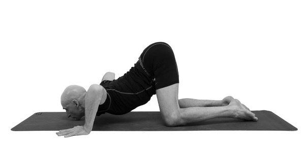 Иллюстрация к книге — Йогатерапия. Практическое руководство [i_154.jpg]