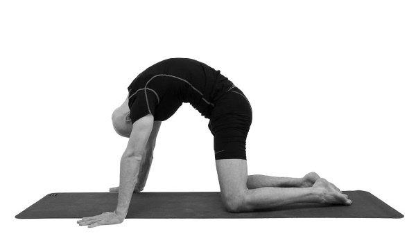 Иллюстрация к книге — Йогатерапия. Практическое руководство [i_156.jpg]