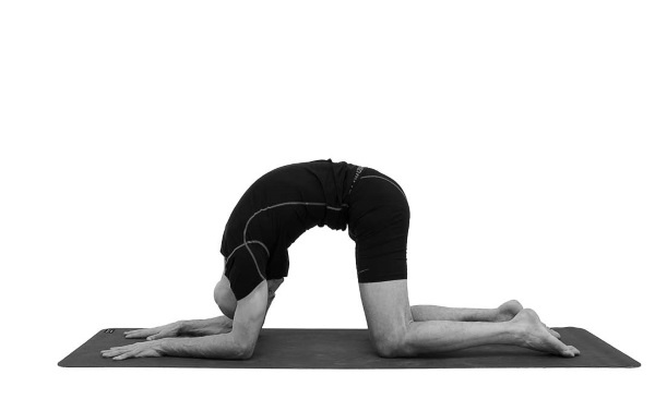 Иллюстрация к книге — Йогатерапия. Практическое руководство [i_158.jpg]