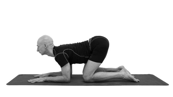 Иллюстрация к книге — Йогатерапия. Практическое руководство [i_159.jpg]