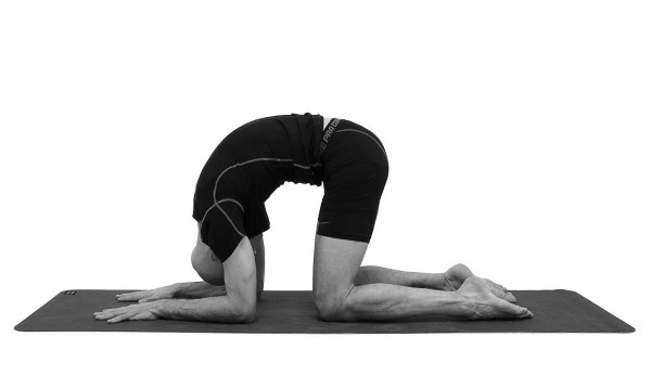 Иллюстрация к книге — Йогатерапия. Практическое руководство [i_160.jpg]