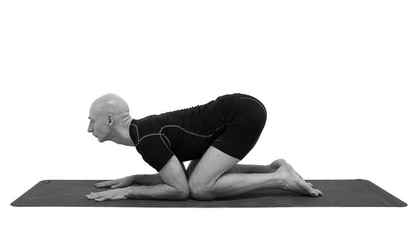 Иллюстрация к книге — Йогатерапия. Практическое руководство [i_161.jpg]