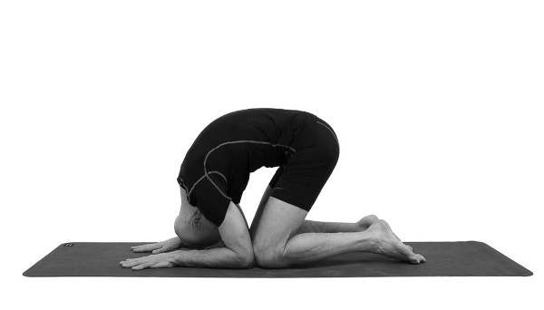 Иллюстрация к книге — Йогатерапия. Практическое руководство [i_162.jpg]