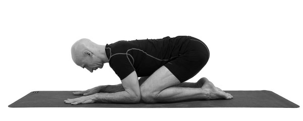 Иллюстрация к книге — Йогатерапия. Практическое руководство [i_163.jpg]