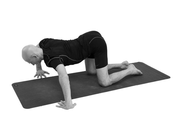 Иллюстрация к книге — Йогатерапия. Практическое руководство [i_168.jpg]