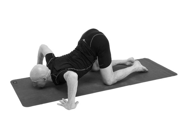 Иллюстрация к книге — Йогатерапия. Практическое руководство [i_169.jpg]