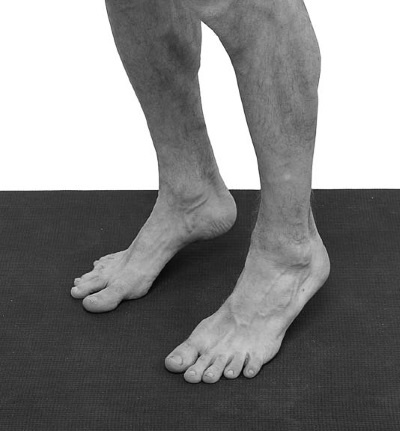 Иллюстрация к книге — Йогатерапия. Практическое руководство [i_199.jpg]