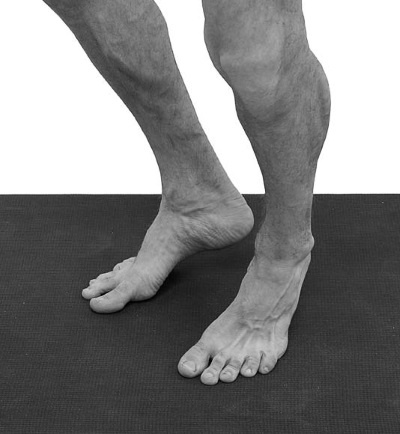 Иллюстрация к книге — Йогатерапия. Практическое руководство [i_200.jpg]