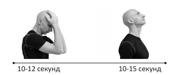 Иллюстрация к книге — Йогатерапия. Практическое руководство [i_218.jpg]