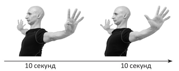 Иллюстрация к книге — Йогатерапия. Практическое руководство [i_225.jpg]