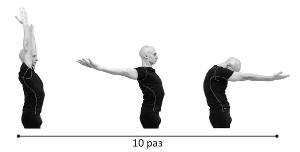 Иллюстрация к книге — Йогатерапия. Практическое руководство [i_231.jpg]